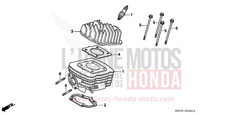 ZYLINDER/ZYLINDERKOPF von CB1300 Super Bold'or ABS PEARL CRYSTAL WHITE (NH193) von 1995
